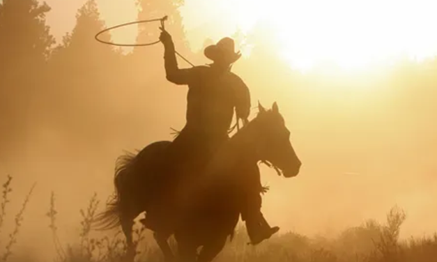 Dayton Black Rodeo | June 20th